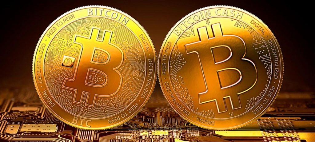 Bitcoin vs Bitcoin Gold